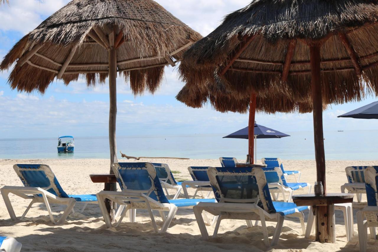 The Diving Lodge Downtown Puerto Morelos Bagian luar foto